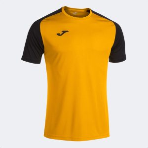 JOMA DRES ACADEMY IV